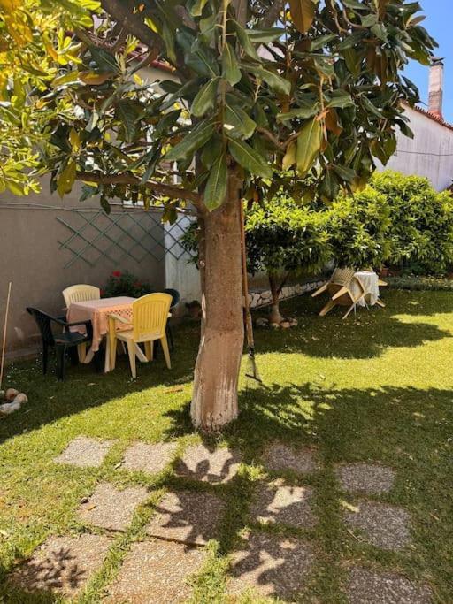 Family Woodland Oasis Vipgreece Διαμέρισμα Κήρινθος Εξωτερικό φωτογραφία